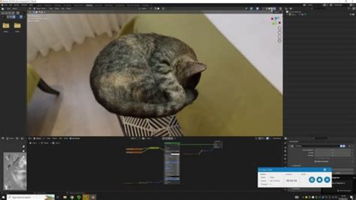 Cat Blender Video On Twitter And Its Implications