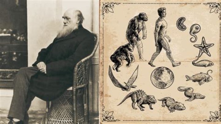Dive Into The Extraordinary Legacy And Discoveries Of Charles Darwin