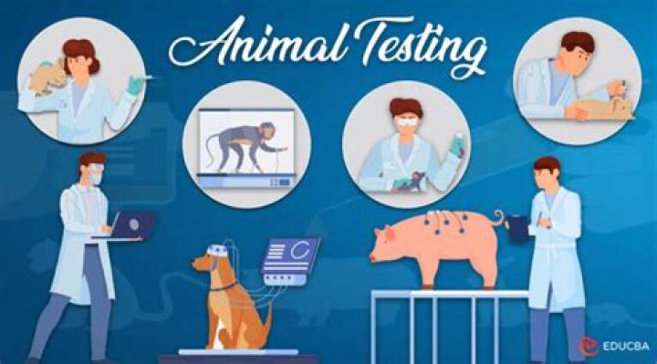 Milk Makeup's Stance On Animal Testing
