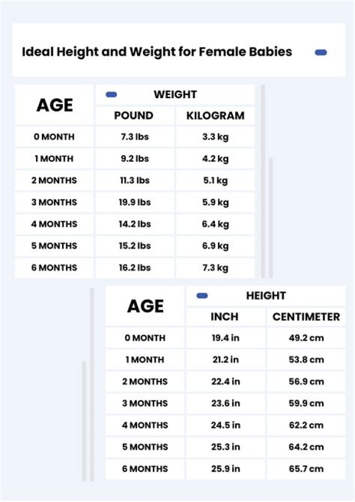 Net Worth, Age, Weight, And Intriguing Insights