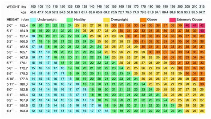 Net Worth, Wiki, Age, Weight, And Untold Secrets Revealed