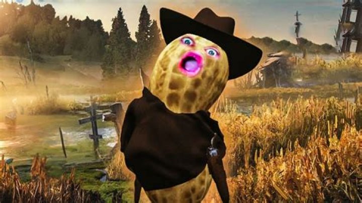 Unveiling The Real Identity Of Twitch Streamer Goocheese: Discoveries And Insights